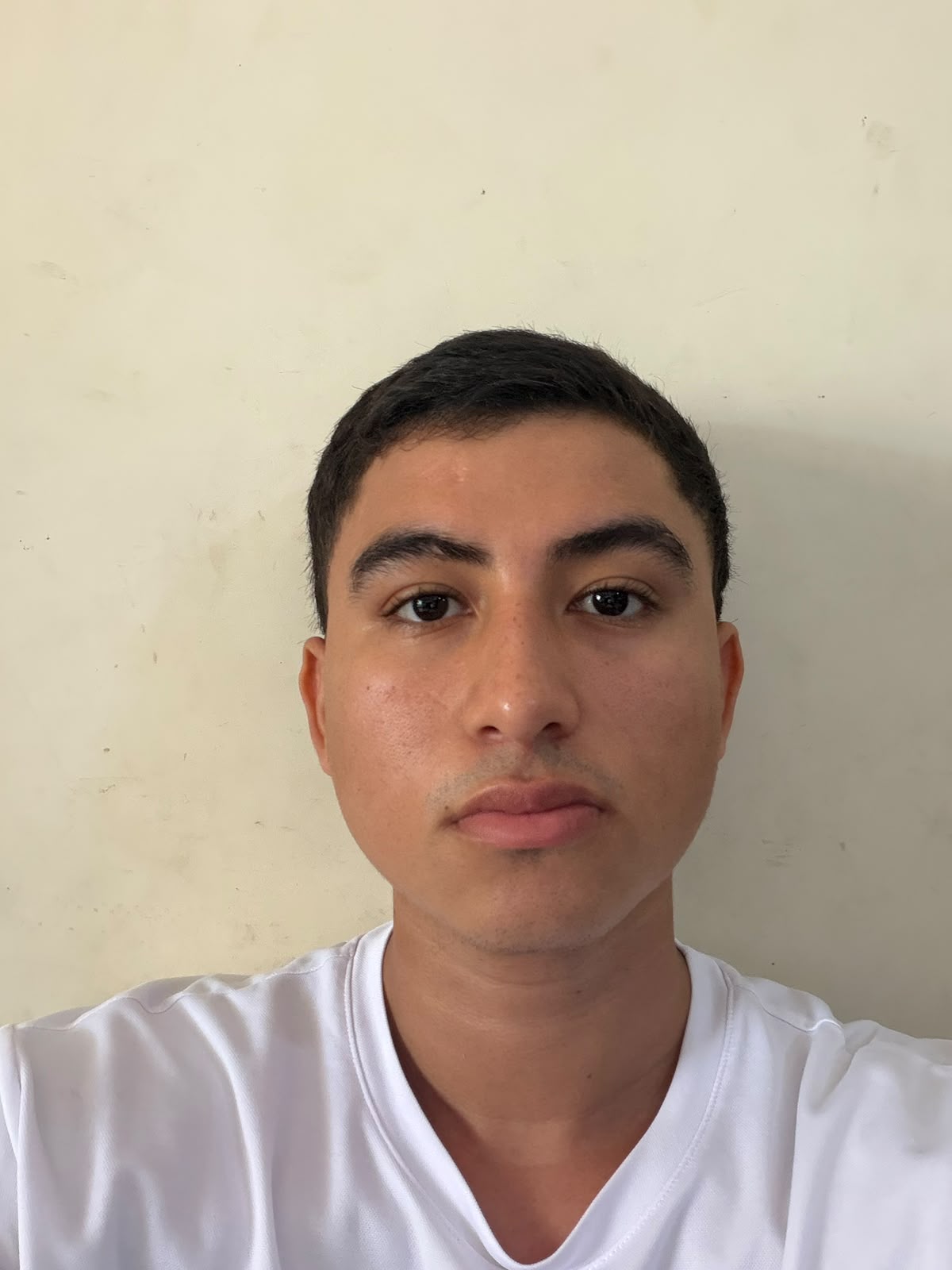 Cristian Mateo Monroy B.